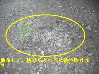f0031037_19133417.jpg