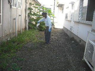f0031037_1913477.jpg