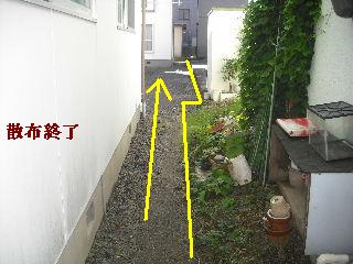 f0031037_19134834.jpg