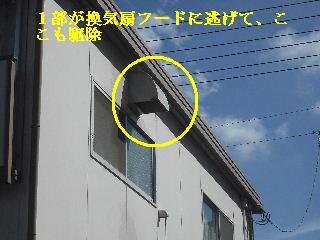 f0031037_1936258.jpg