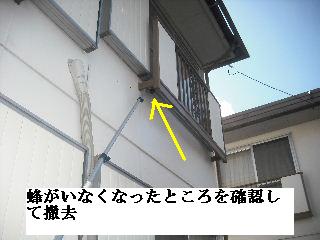 f0031037_1936282.jpg