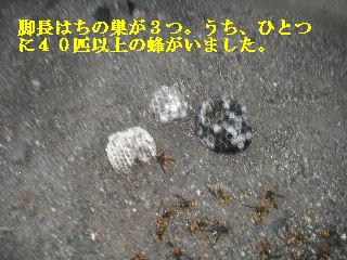f0031037_19364032.jpg
