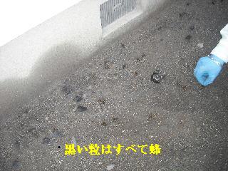 f0031037_1936920.jpg