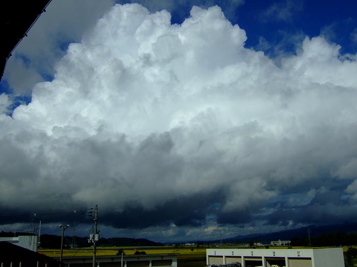 e0006242_15102638.jpg