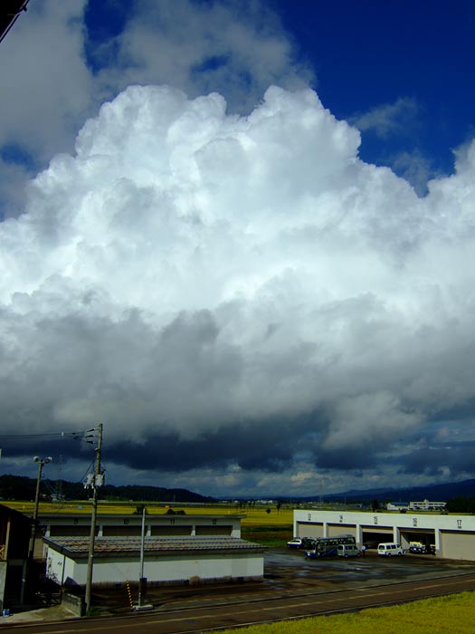 e0006242_15102643.jpg