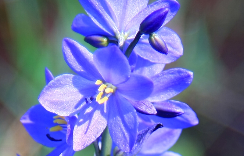 c0122445_16465741.jpg