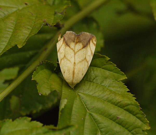 d0091754_0103438.jpg