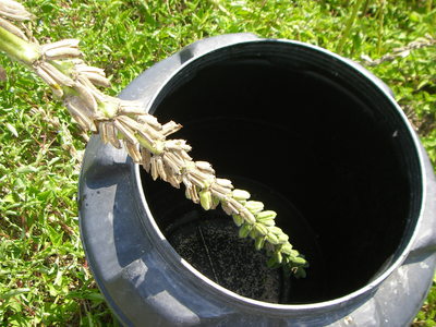 e0181260_203663.jpg