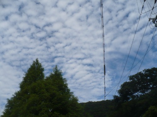 a0063364_23324462.jpg
