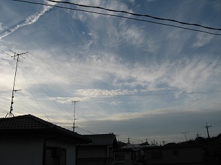 e0041168_9165021.jpg