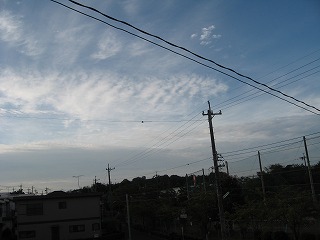 e0041168_9175871.jpg