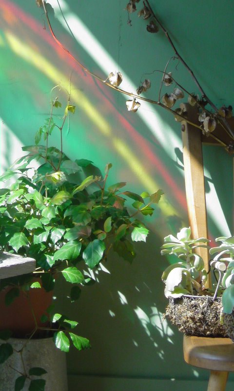 f0220768_1175729.jpg