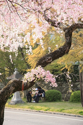 c0196076_854881.jpg