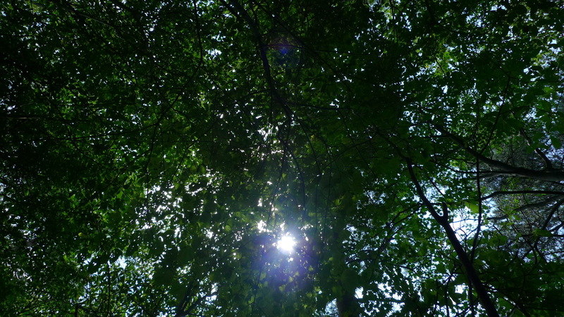 e0024081_18332236.jpg