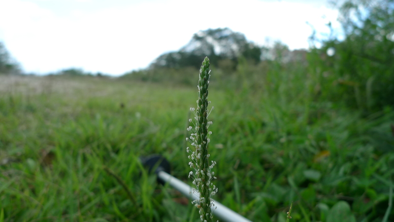 e0024081_18334229.jpg