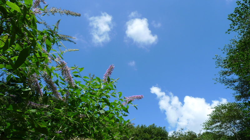 e0024081_1833819.jpg
