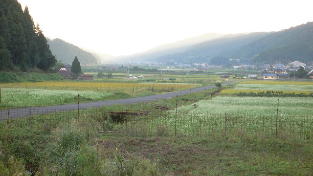 b0042882_22165816.jpg
