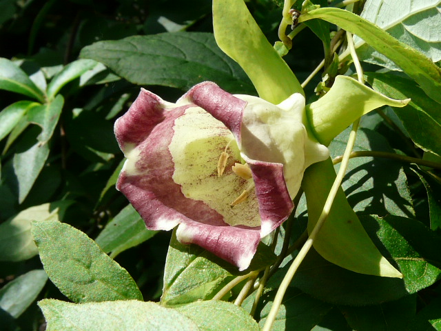 e0145782_17243791.jpg