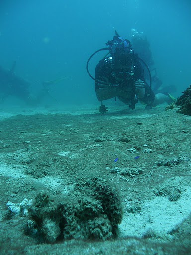 f0131382_1655896.jpg