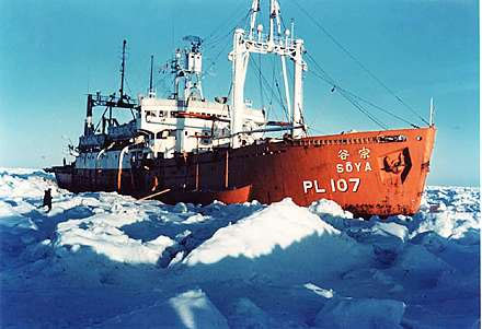 a0053783_21561126.jpg