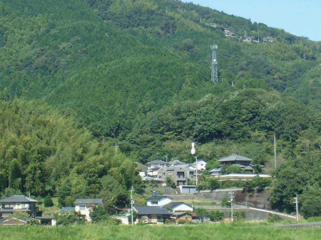 d0162684_1421136.jpg