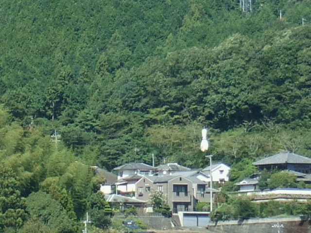 d0162684_1421152.jpg