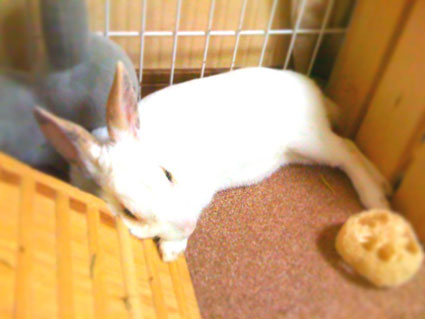 f0201191_164327.jpg