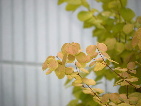 a0133493_12482595.jpg