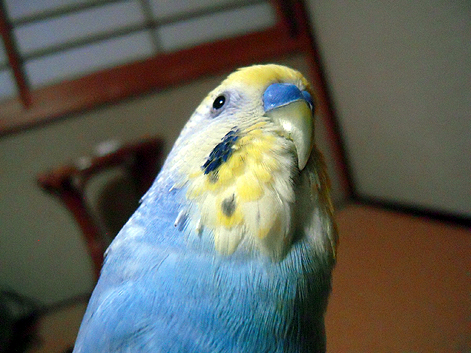 d0131293_20392899.jpg