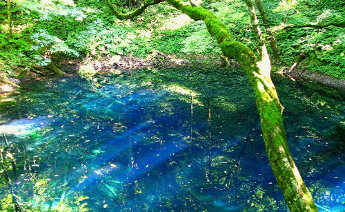 b0099994_13212715.jpg
