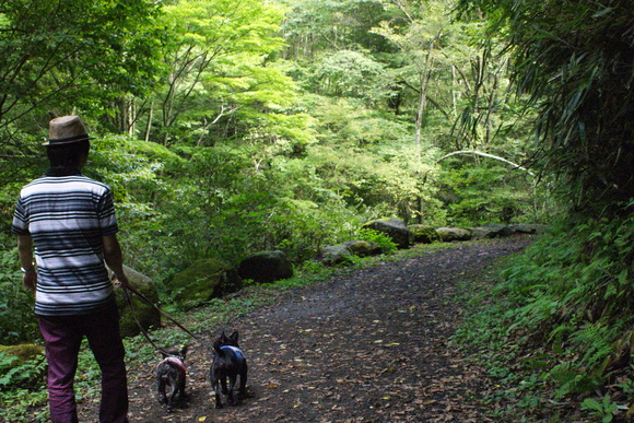d0164100_10205164.jpg
