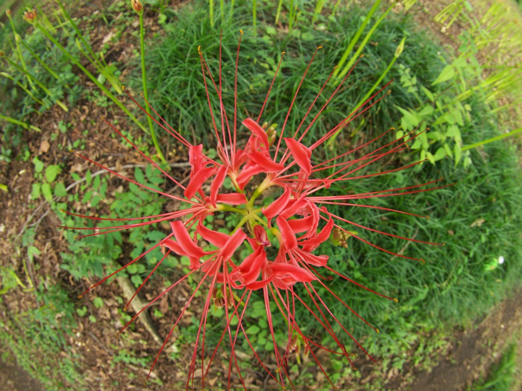 f0224100_20402812.jpg