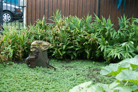f0239100_5354091.jpg