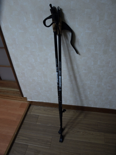 f0020302_21291436.jpg