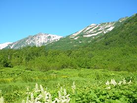 d0032405_223324100.jpg