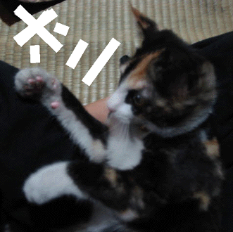 e0103408_22392792.gif