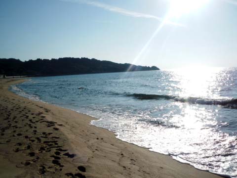 e0177509_20252278.jpg