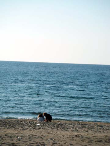 e0177509_20355410.jpg