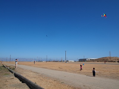 b0171411_17445543.jpg