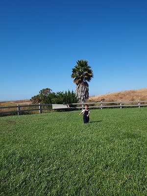 b0171411_17451340.jpg