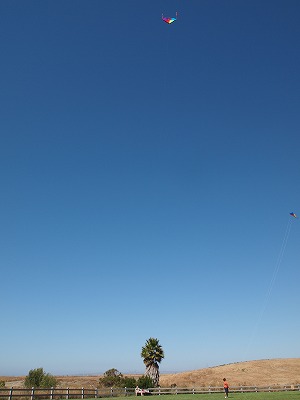 b0171411_1745365.jpg