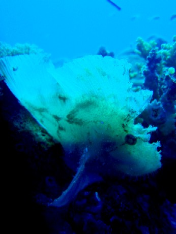 f0043911_1863481.jpg
