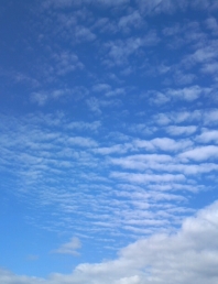 c0098813_16361855.jpg