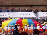 a0134415_21455447.jpg