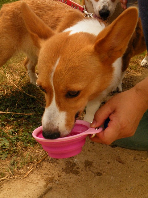 c0127617_17112037.jpg