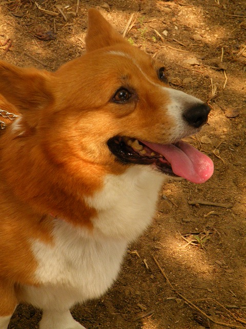 c0127617_17132037.jpg