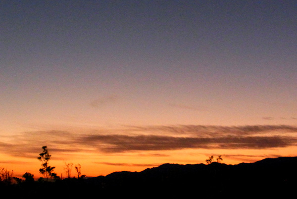 e0083517_2030102.jpg