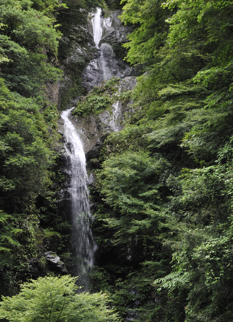 c0062621_12335052.jpg