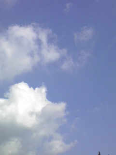 b0174923_2253496.jpg