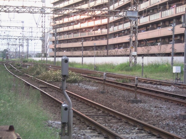 f0203926_21542765.jpg